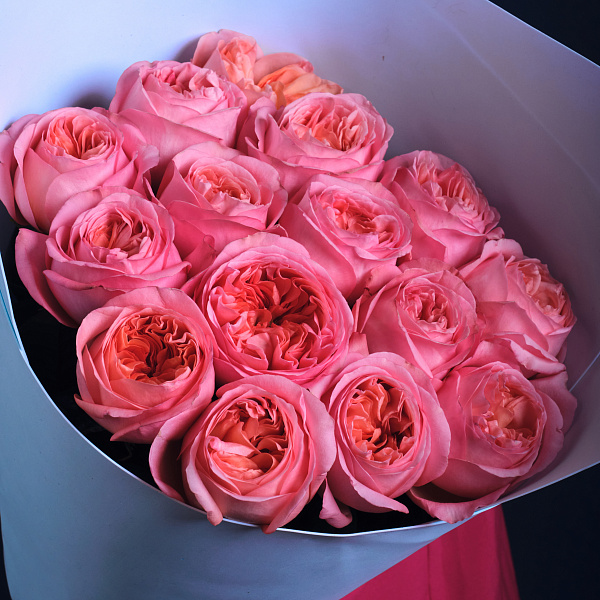 Купить Букет из 15 пионовидных розовых роз 70 см Pink Expression в  с бесплатной доставкой: цена, фото, описание